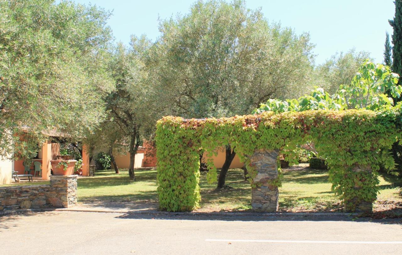 Domaine Le Clos Des Oliviers Sorbo-Ocagnano Exterior photo